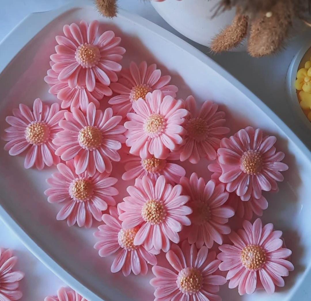 Daisy