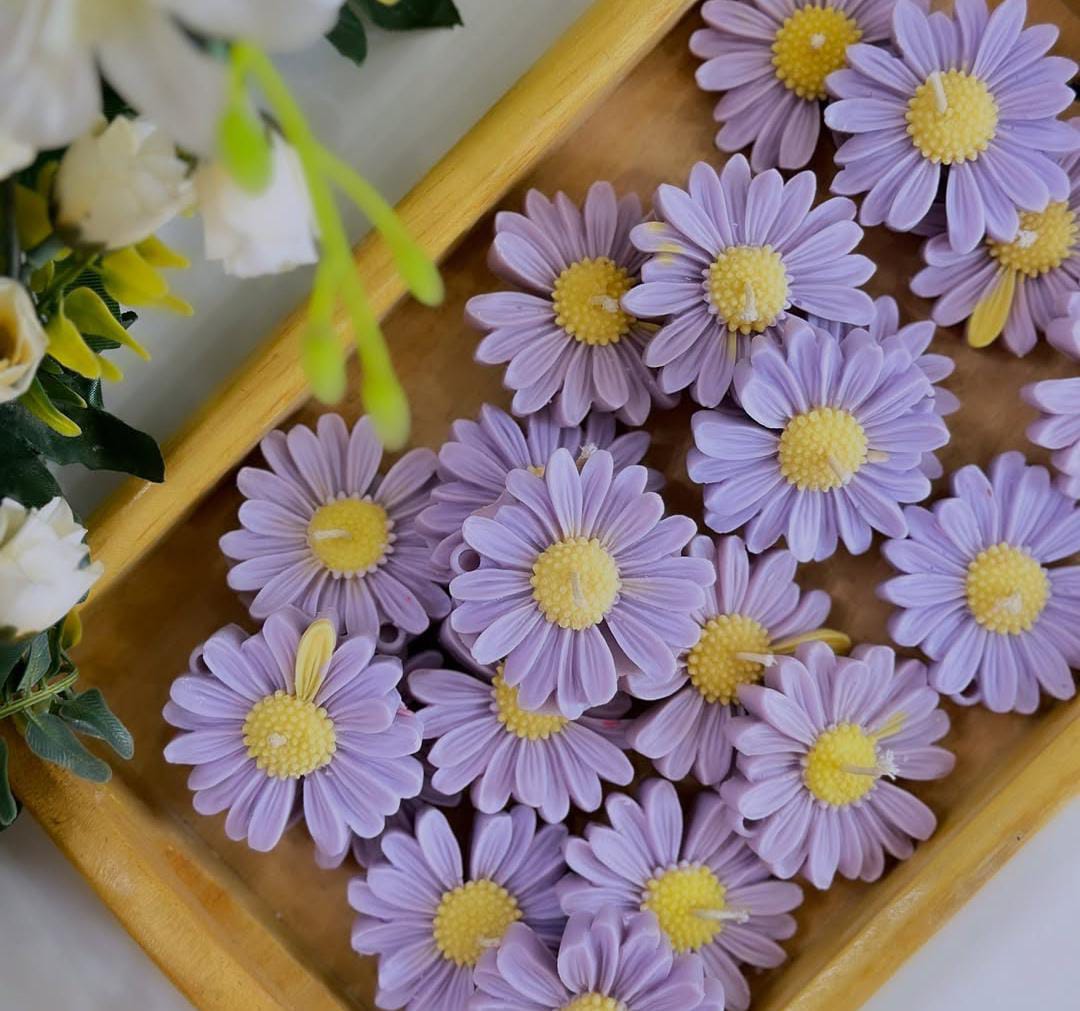 Daisy